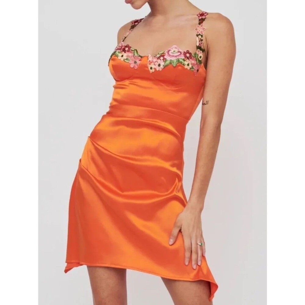 Selfie Leslie Rose Garden Floral Appliqué Pleat Mini Dress Large Orange Fairy